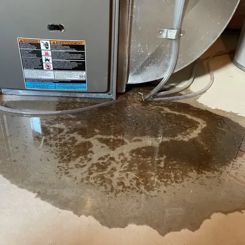 Appliance Leak Cleanup in Mission Viejo, CA